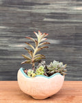 Soft Greens Succulents in Crooked Bowl