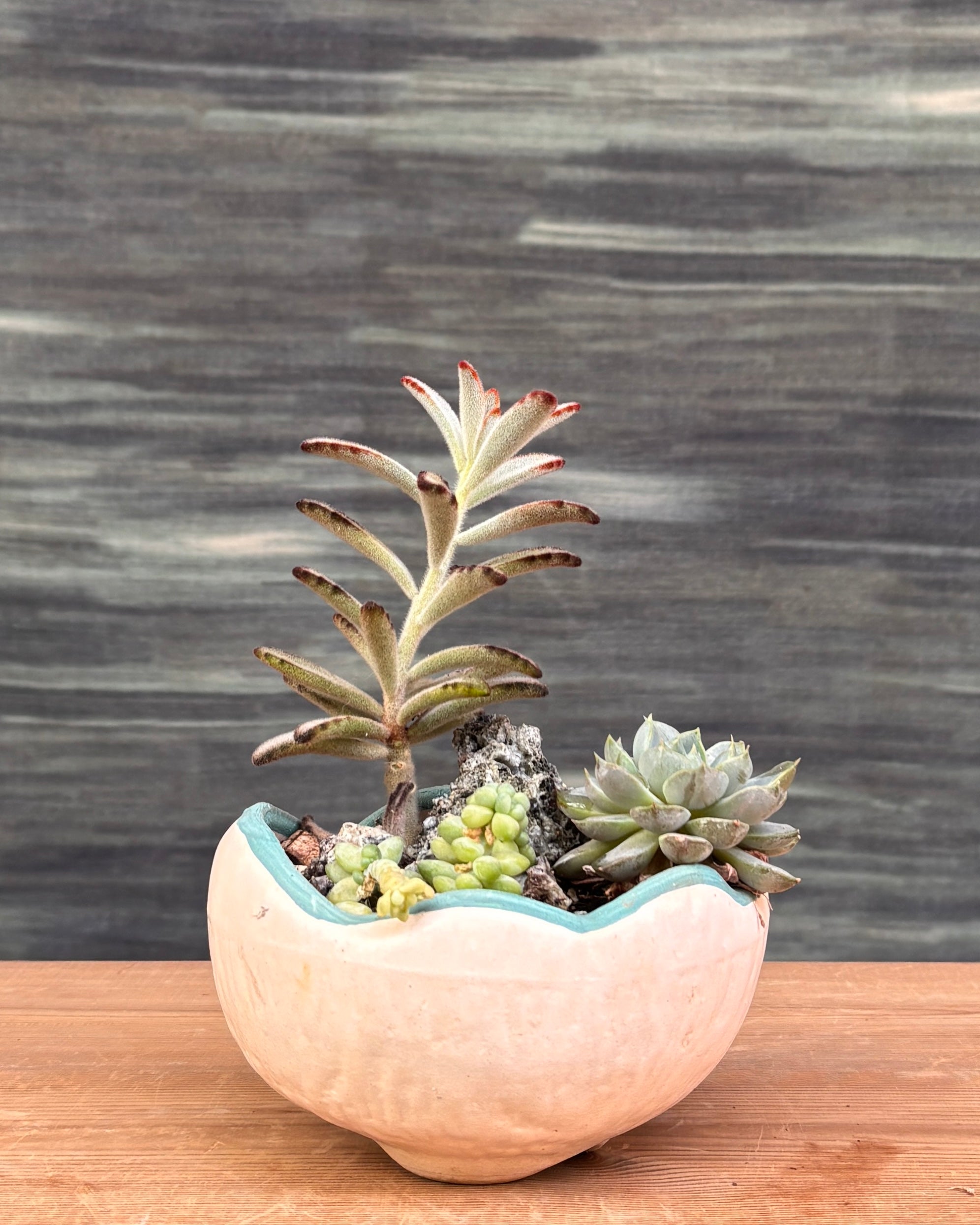 Soft Greens Succulents in Crooked Bowl