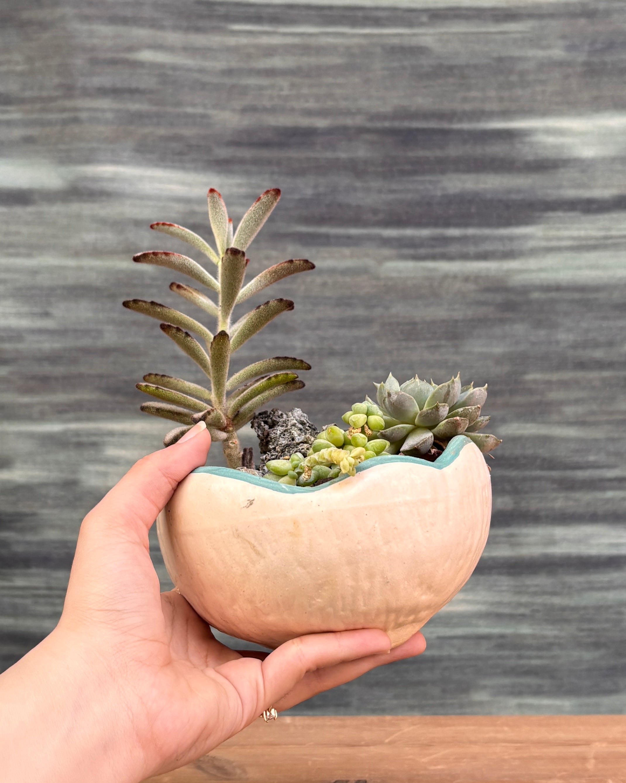 Soft Greens Succulents in Crooked Bowl