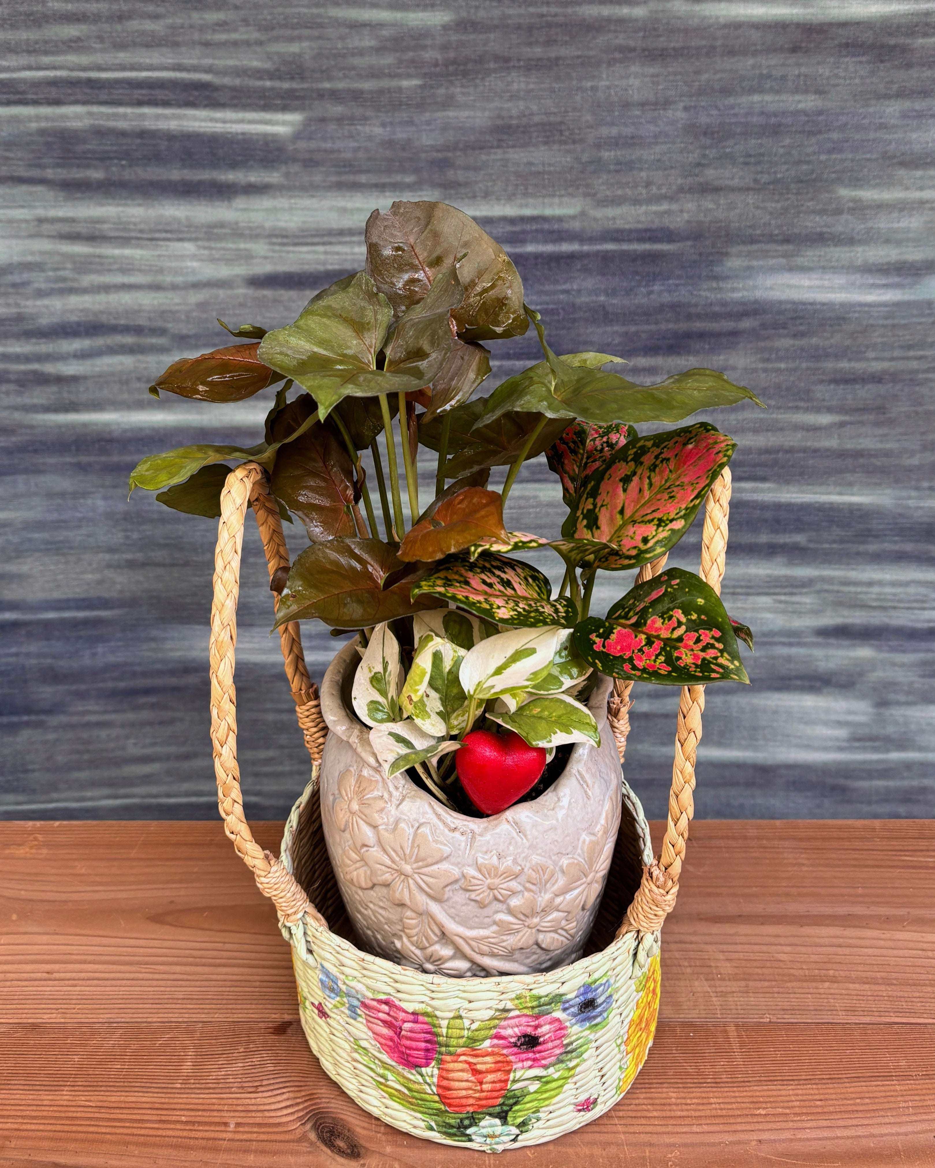 Heartfelt Vase - Pothos, Syngonium & Agloanema Angel