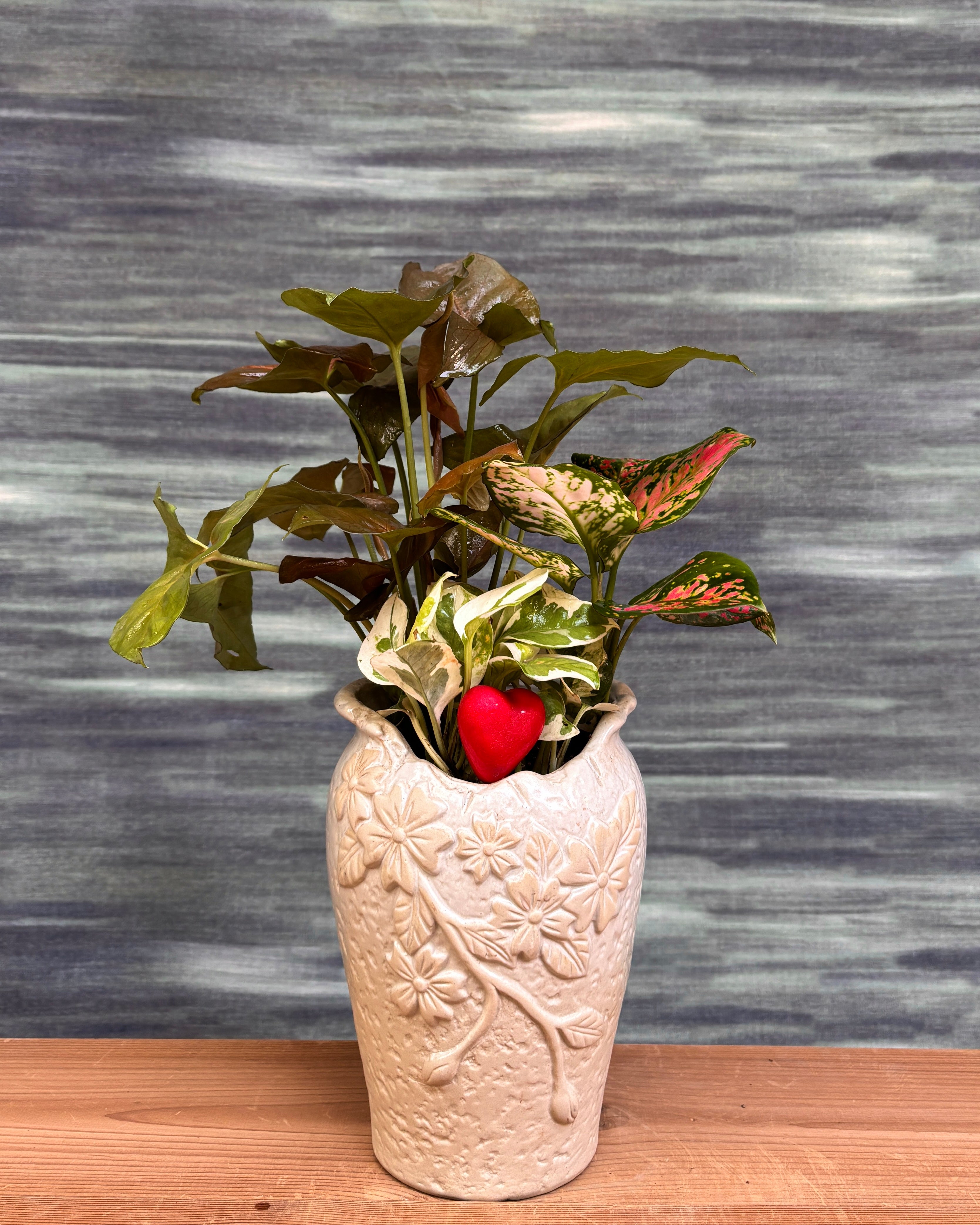 Heartfelt Vase - Pothos, Syngonium & Agloanema Angel