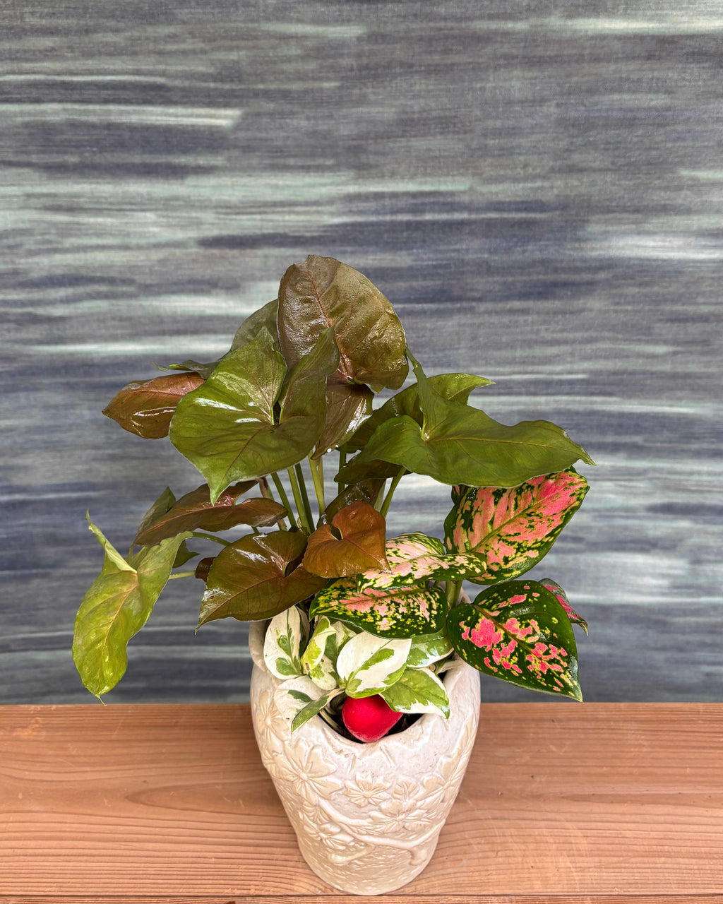 Heartfelt Vase - Pothos, Syngonium & Agloanema Angel
