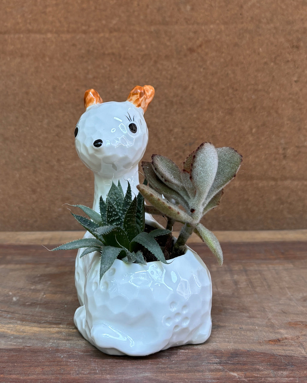 White fawn themed succulent premium plant gifts India from Planterie cafe available as indoor plants online India for World Environment Day