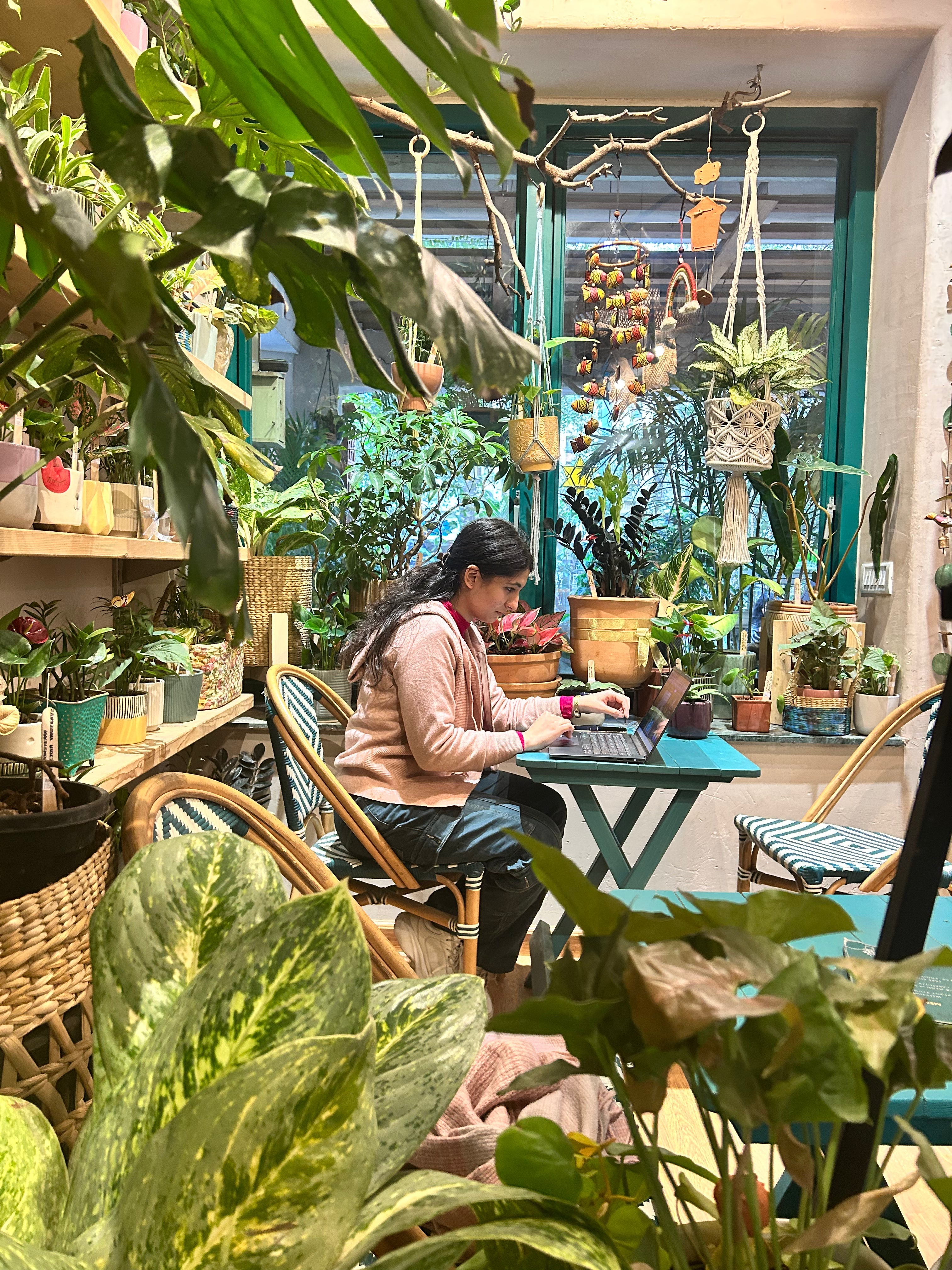 Workday Pass (3 hours | Weekdays only) Planterie