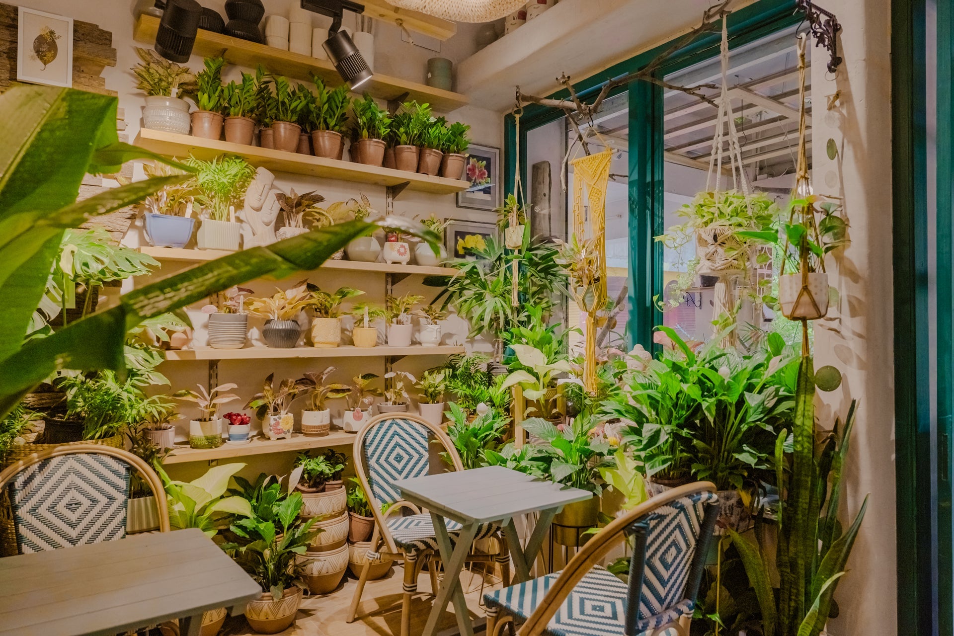 Workday Pass (3 hours | Weekdays only) Planterie